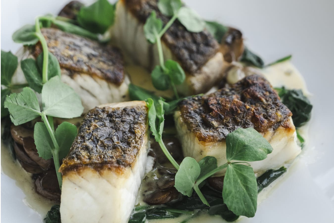 A close up of a fish dish garnished with greenery